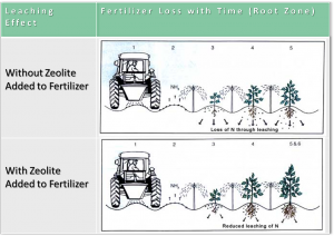 fertilizer